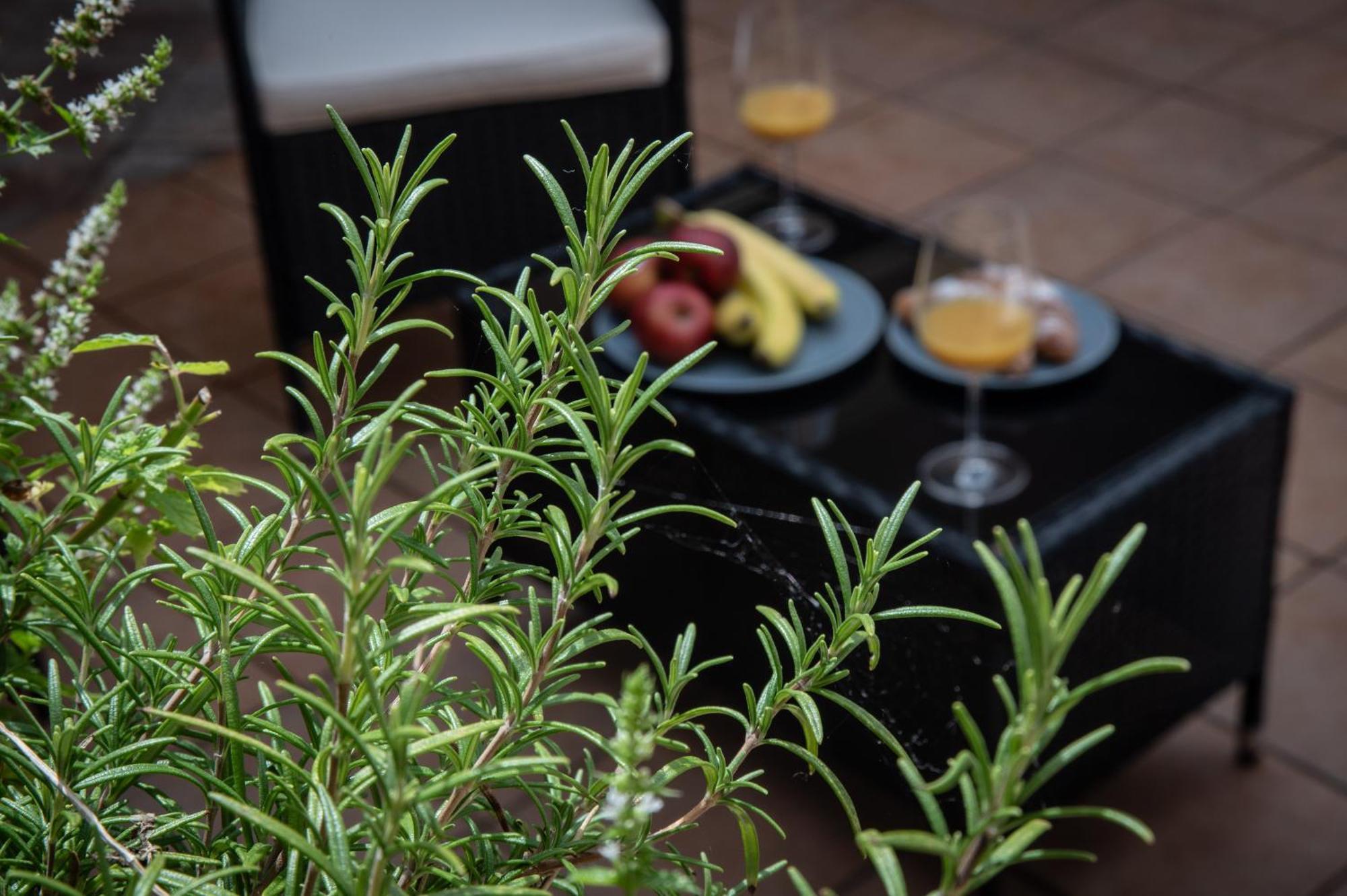 White Swan Boutique Apartments Prague Luaran gambar